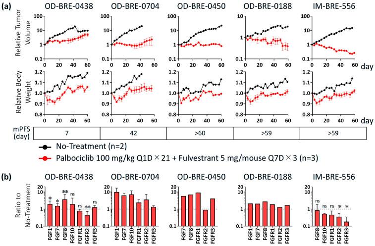 https://cdn.ncbi.nlm.nih.gov/pmc/blobs/f647/11988047/0caf1f92378f/cancers-17-01084-g001.jpg