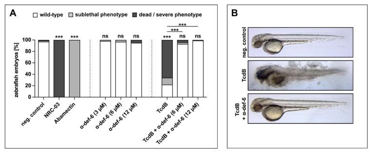 https://cdn.ncbi.nlm.nih.gov/pmc/blobs/f65e/9101188/a3aa2ef4818b/ijms-23-04509-g006.jpg