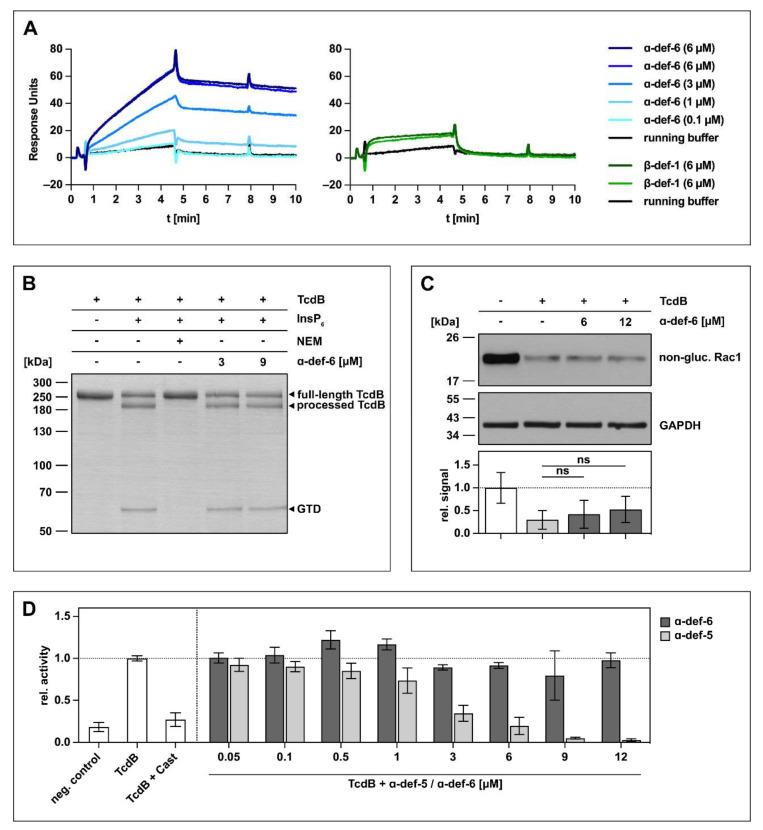 https://cdn.ncbi.nlm.nih.gov/pmc/blobs/f65e/9101188/f4fbd9cc26cc/ijms-23-04509-g001.jpg