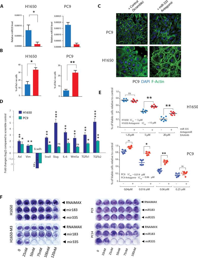 https://cdn.ncbi.nlm.nih.gov/pmc/blobs/f67d/8285107/47741e55c274/elife-66109-fig5.jpg
