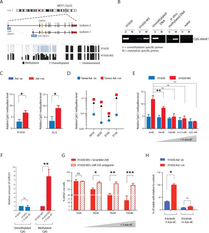 https://cdn.ncbi.nlm.nih.gov/pmc/blobs/f67d/8285107/783edaaa1da1/elife-66109-fig6.jpg