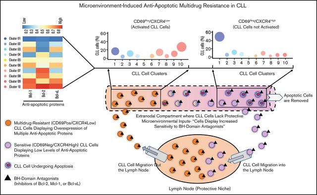 https://cdn.ncbi.nlm.nih.gov/pmc/blobs/f696/8525241/e3a5eef86201/advancesADV2020003944absf1.jpg