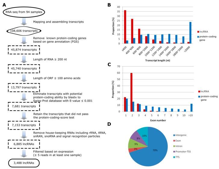 https://cdn.ncbi.nlm.nih.gov/pmc/blobs/f6a8/6410058/190b9834af79/genes-10-00138-g001.jpg