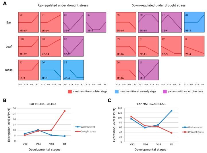 https://cdn.ncbi.nlm.nih.gov/pmc/blobs/f6a8/6410058/3e41298307c8/genes-10-00138-g003.jpg