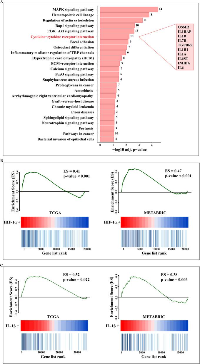 https://cdn.ncbi.nlm.nih.gov/pmc/blobs/f6b3/7418191/08989286229e/13046_2020_1667_Fig1_HTML.jpg
