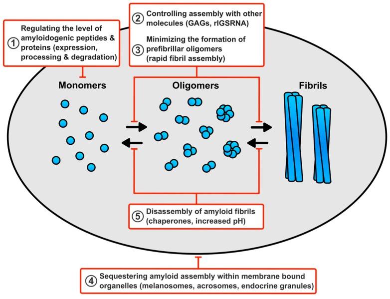 https://cdn.ncbi.nlm.nih.gov/pmc/blobs/f6c1/5745454/54e88cd99830/biomolecules-07-00071-g002.jpg