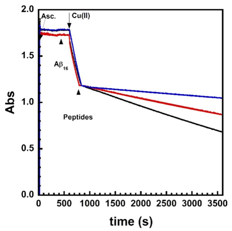 https://cdn.ncbi.nlm.nih.gov/pmc/blobs/f6c8/9599918/118a54e42e54/biomolecules-12-01327-g002.jpg