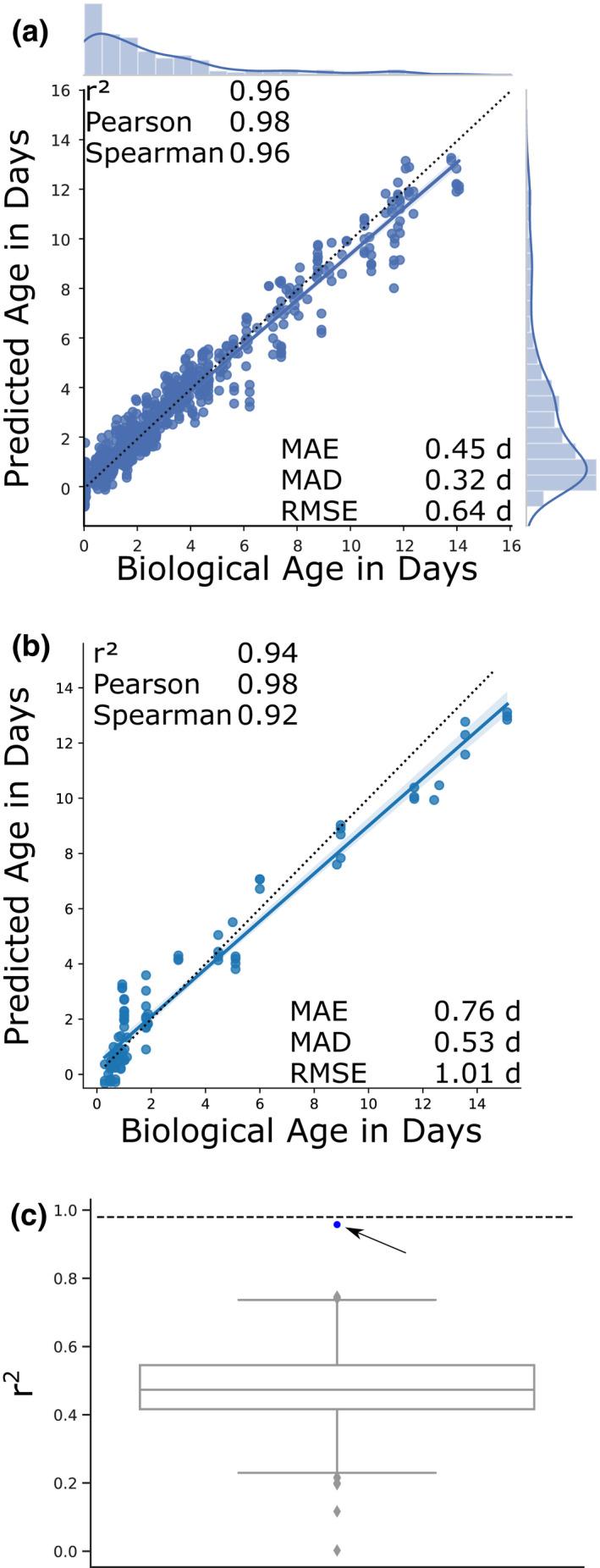 https://cdn.ncbi.nlm.nih.gov/pmc/blobs/f6ce/7963339/a04f669497db/ACEL-20-e13320-g006.jpg