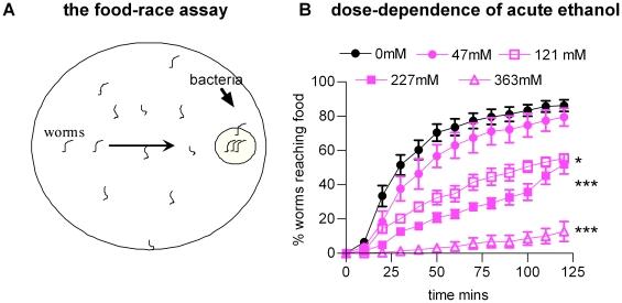 https://cdn.ncbi.nlm.nih.gov/pmc/blobs/f6d3/2862703/44ca52969575/pone.0010422.g001.jpg