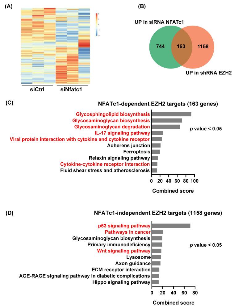 https://cdn.ncbi.nlm.nih.gov/pmc/blobs/f6d7/8700089/26d4818dc3c2/cells-10-03463-g003.jpg
