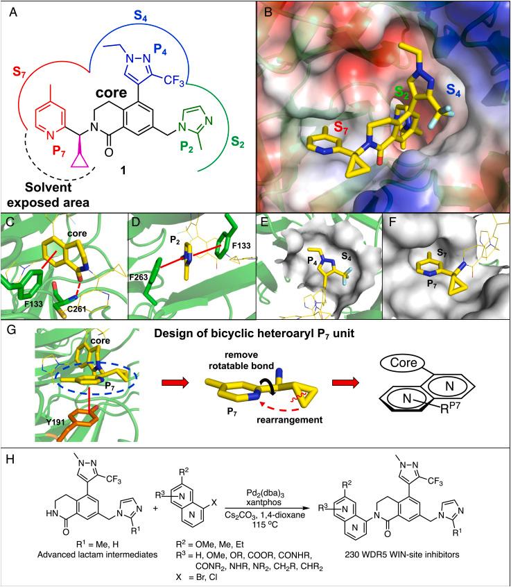 https://cdn.ncbi.nlm.nih.gov/pmc/blobs/f6db/9910433/5db15bf3b1f6/pnas.2211297120fig02.jpg
