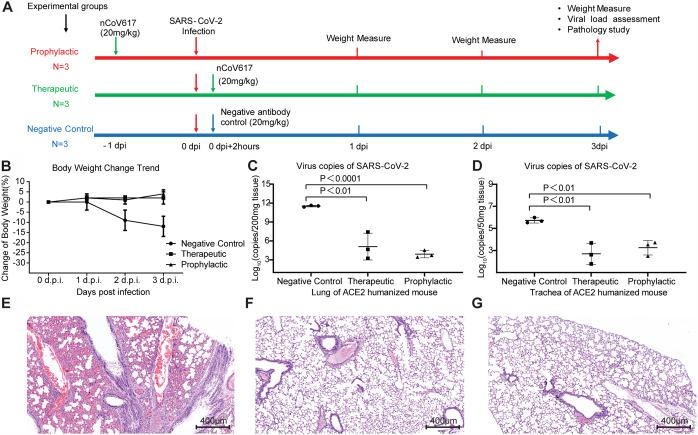 https://cdn.ncbi.nlm.nih.gov/pmc/blobs/f6eb/8515945/2336db01b166/spectrum.01352-21-f003.jpg