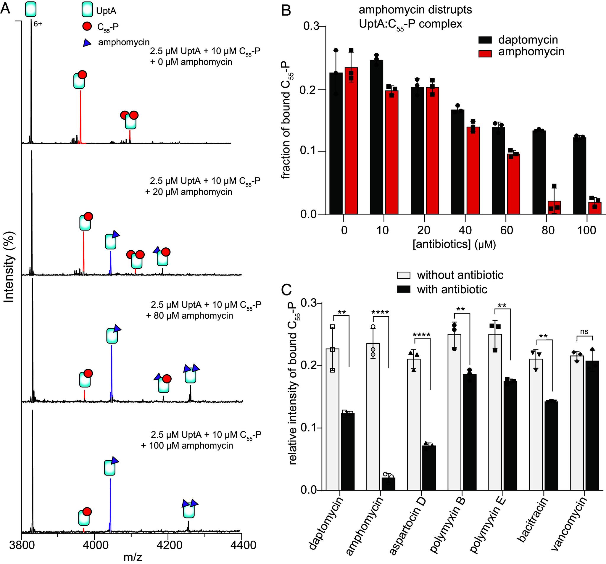 https://cdn.ncbi.nlm.nih.gov/pmc/blobs/f6f4/11474028/7c8da9fce4d7/pnas.2408315121fig05.jpg
