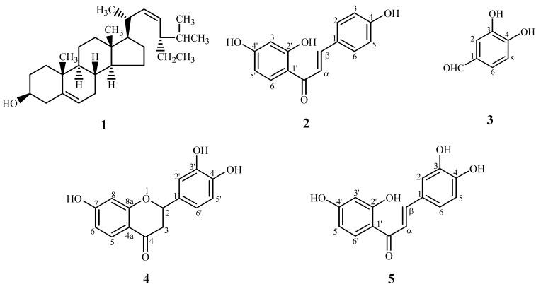 https://cdn.ncbi.nlm.nih.gov/pmc/blobs/f6f4/6245381/d160c66fc76b/molecules-13-00904-g001.jpg
