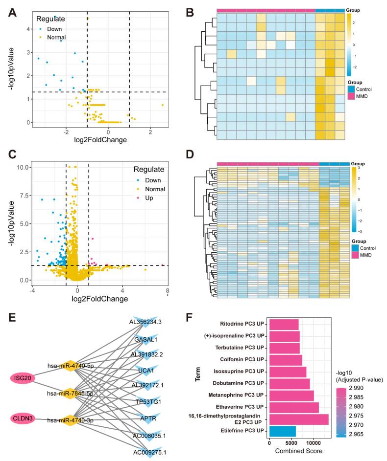 https://cdn.ncbi.nlm.nih.gov/pmc/blobs/f701/12189474/c2e141f8d7e3/bioengineering-12-00577-g006.jpg