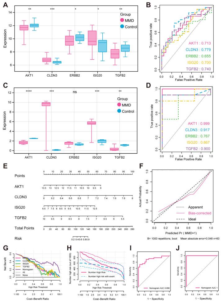 https://cdn.ncbi.nlm.nih.gov/pmc/blobs/f701/12189474/fdff7a9308ac/bioengineering-12-00577-g004.jpg