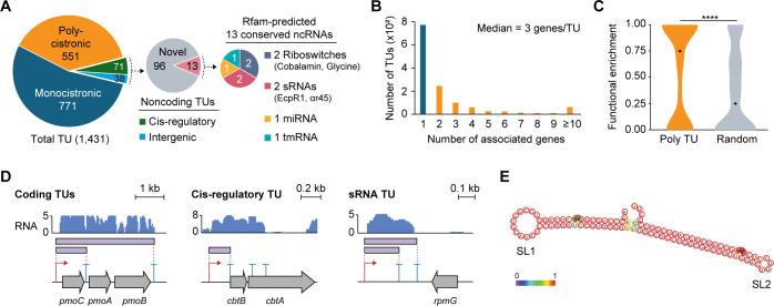 https://cdn.ncbi.nlm.nih.gov/pmc/blobs/f70c/12403871/7dfbd331fbe1/spectrum.01281-25.f005.jpg