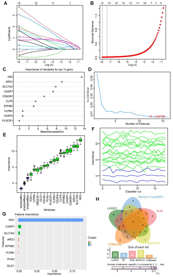 https://cdn.ncbi.nlm.nih.gov/pmc/blobs/f71d/11121097/770a13b2e965/ijms-25-05387-g005.jpg