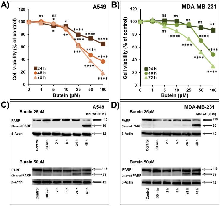 https://cdn.ncbi.nlm.nih.gov/pmc/blobs/f725/8745659/ce78106adb26/ijms-23-00431-g001.jpg
