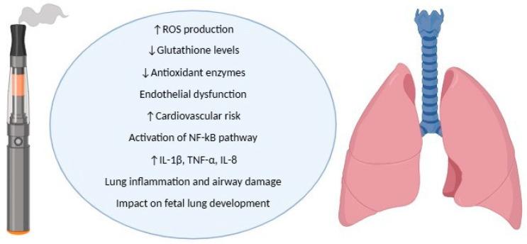 https://cdn.ncbi.nlm.nih.gov/pmc/blobs/f72b/11939789/5931ab7abf69/antioxidants-14-00262-g002.jpg