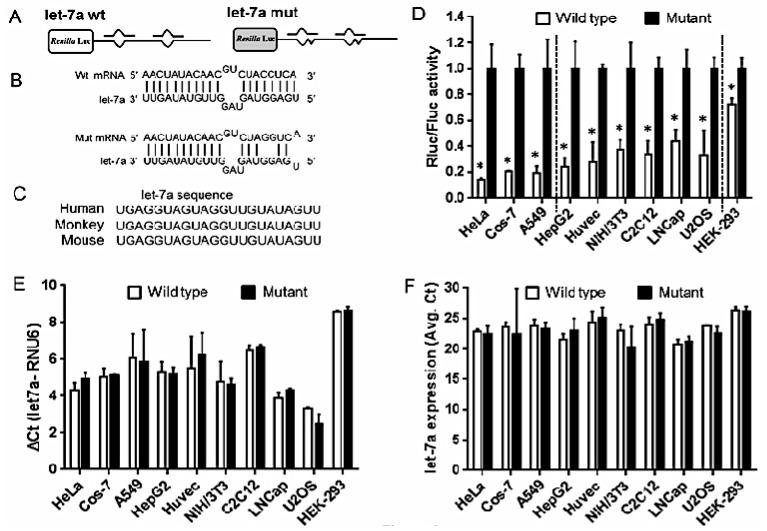 https://cdn.ncbi.nlm.nih.gov/pmc/blobs/f73e/4730316/dd992c4d313c/ijms-17-00072-g002.jpg