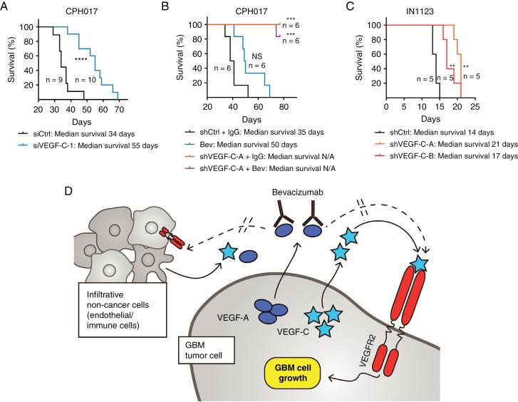 https://cdn.ncbi.nlm.nih.gov/pmc/blobs/f73f/6176801/2278da6b9674/noy10306.jpg