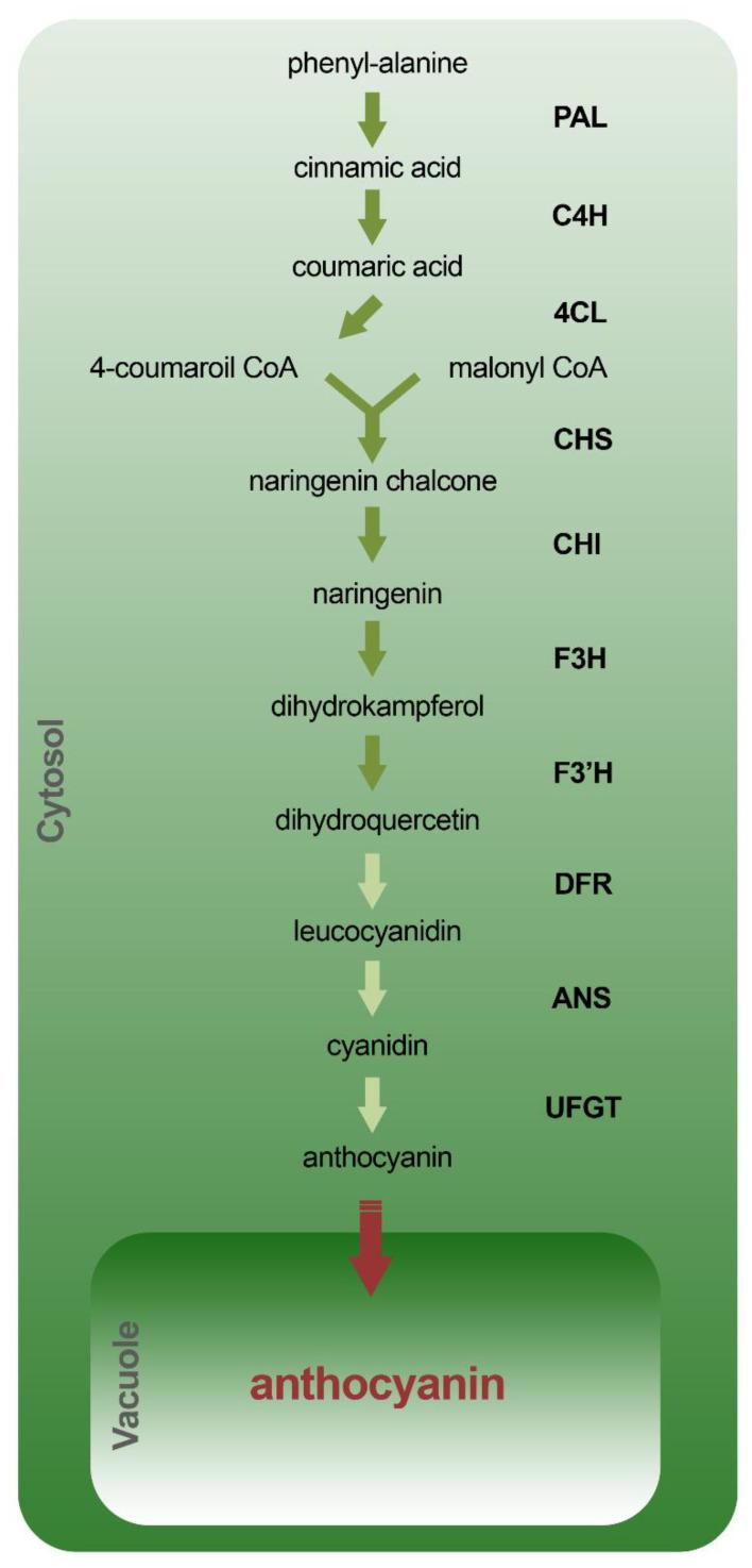https://cdn.ncbi.nlm.nih.gov/pmc/blobs/f758/7504512/5588912fb20b/molecules-25-03809-g010.jpg