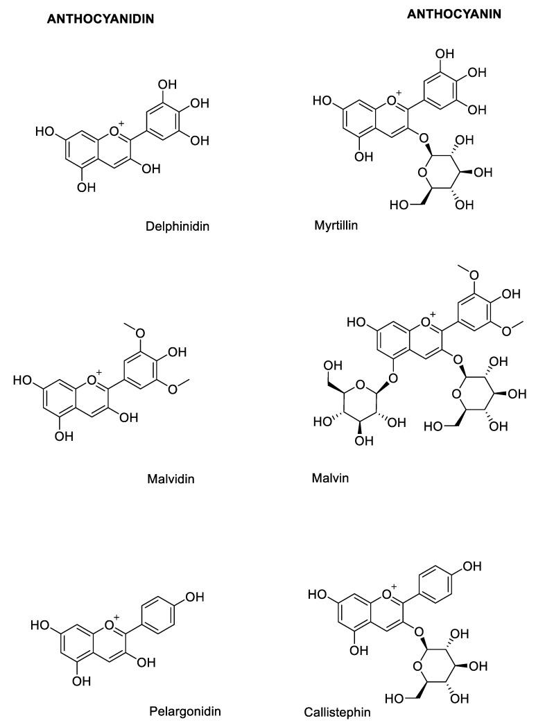 https://cdn.ncbi.nlm.nih.gov/pmc/blobs/f758/7504512/7cb8a6d97750/molecules-25-03809-g003.jpg