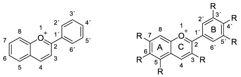 https://cdn.ncbi.nlm.nih.gov/pmc/blobs/f758/7504512/ca2640b07f0e/molecules-25-03809-g001.jpg
