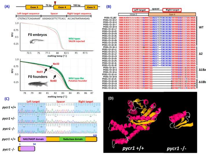 https://cdn.ncbi.nlm.nih.gov/pmc/blobs/f77a/6562453/c20d61f11579/cells-08-00453-g001.jpg