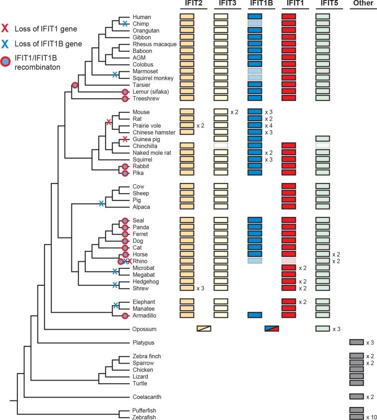 https://cdn.ncbi.nlm.nih.gov/pmc/blobs/f78e/4887208/19bcac479910/elife-14228-fig3.jpg