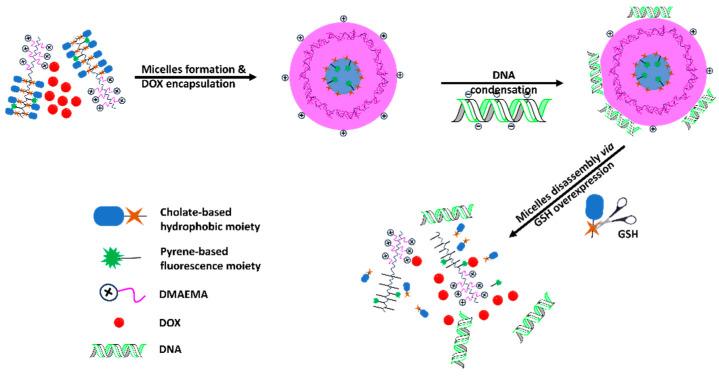 https://cdn.ncbi.nlm.nih.gov/pmc/blobs/f7cb/10886702/3b539265ff92/biomedicines-12-00417-g005.jpg