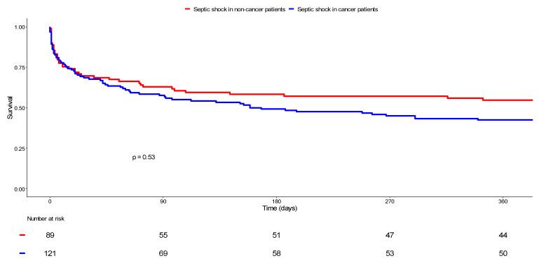 https://cdn.ncbi.nlm.nih.gov/pmc/blobs/f808/9264783/57a8623c5b65/cancers-14-03196-g002.jpg
