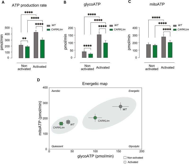 https://cdn.ncbi.nlm.nih.gov/pmc/blobs/f80b/11635167/d04d7b989268/kyae016_fig4.jpg