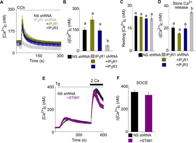 https://cdn.ncbi.nlm.nih.gov/pmc/blobs/f811/10406432/20c331ad4e44/elife-80447-fig2-figsupp2.jpg