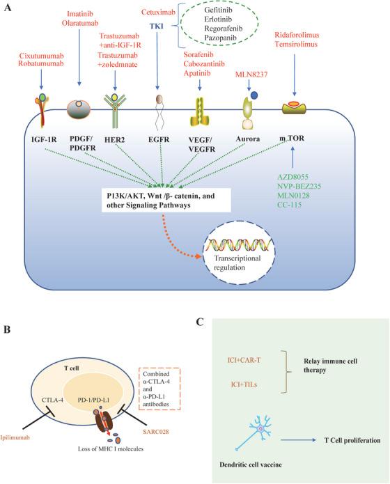 https://cdn.ncbi.nlm.nih.gov/pmc/blobs/f833/10333890/106615444474/MCO2-4-e308-g002.jpg