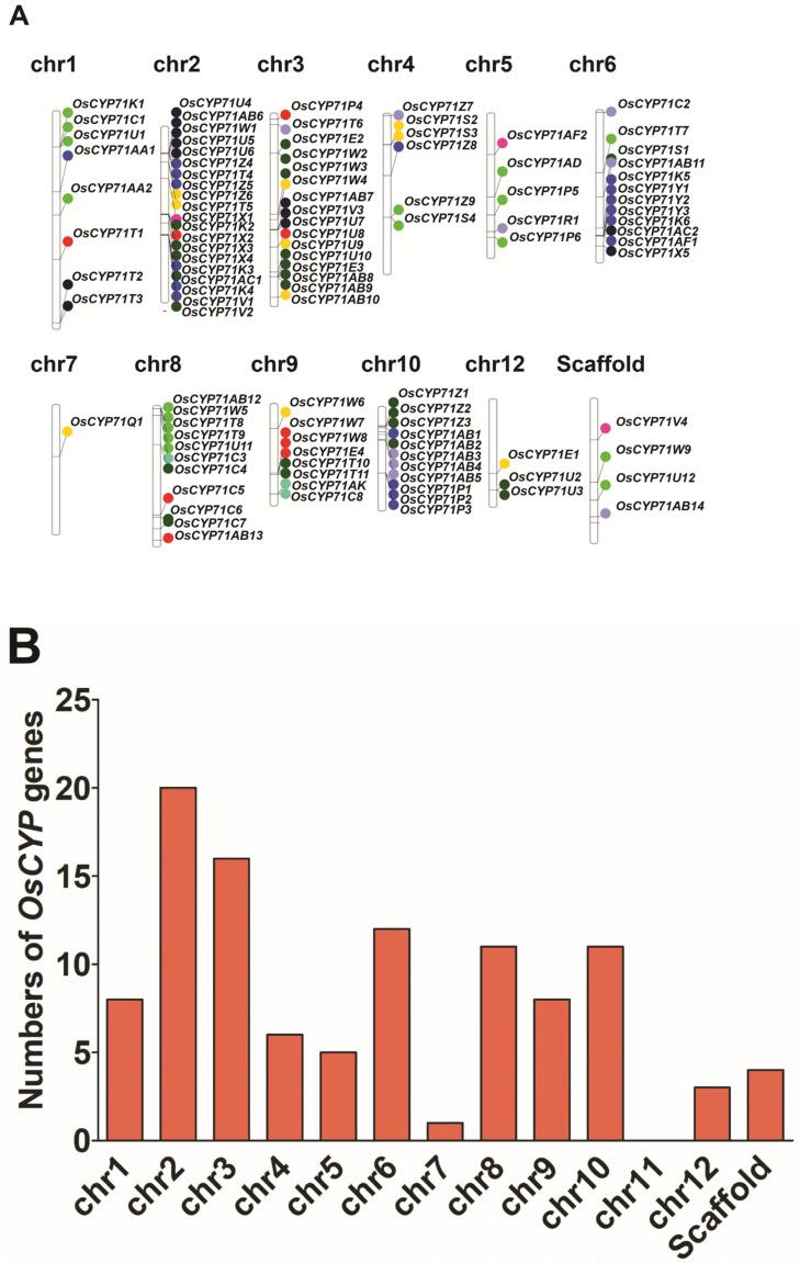 https://cdn.ncbi.nlm.nih.gov/pmc/blobs/f833/10490456/10d6b851b7bb/plants-12-03035-g002.jpg