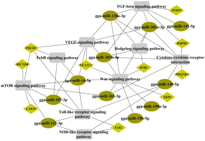 https://cdn.ncbi.nlm.nih.gov/pmc/blobs/f845/9693605/417e679dc1fe/toxins-14-00808-g005.jpg