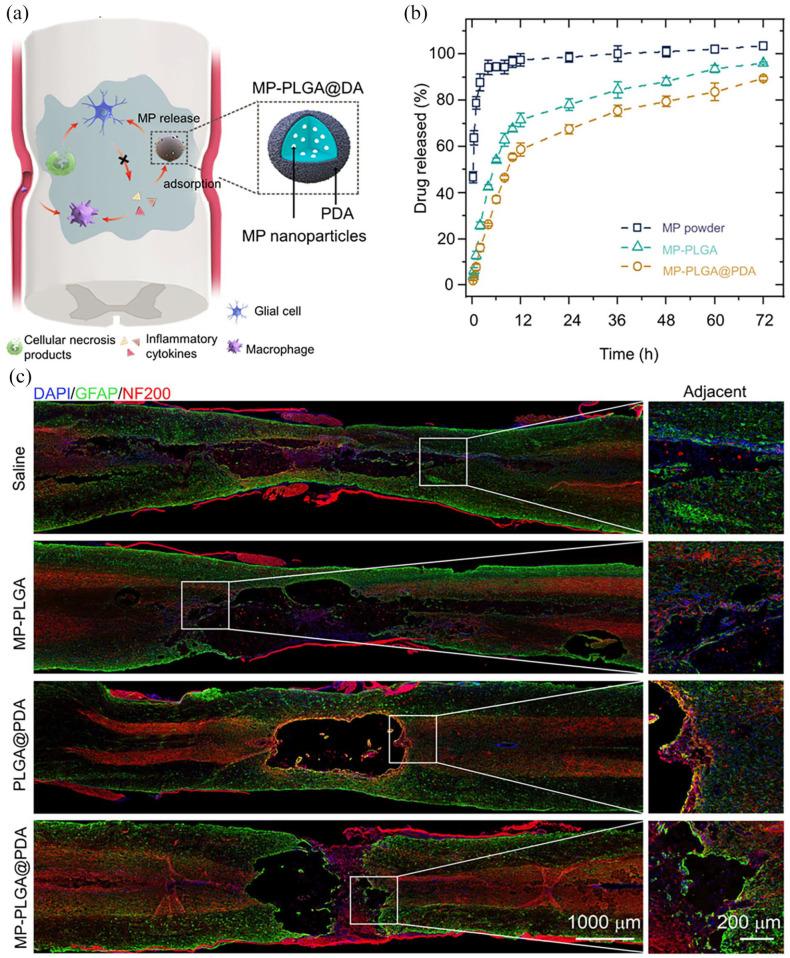 https://cdn.ncbi.nlm.nih.gov/pmc/blobs/f84c/9806413/f52ec2cf833b/10.1177_20417314221143059-fig2.jpg