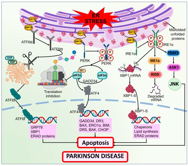 https://cdn.ncbi.nlm.nih.gov/pmc/blobs/f859/10813470/5b30f8066a1f/biomolecules-14-00073-g010.jpg