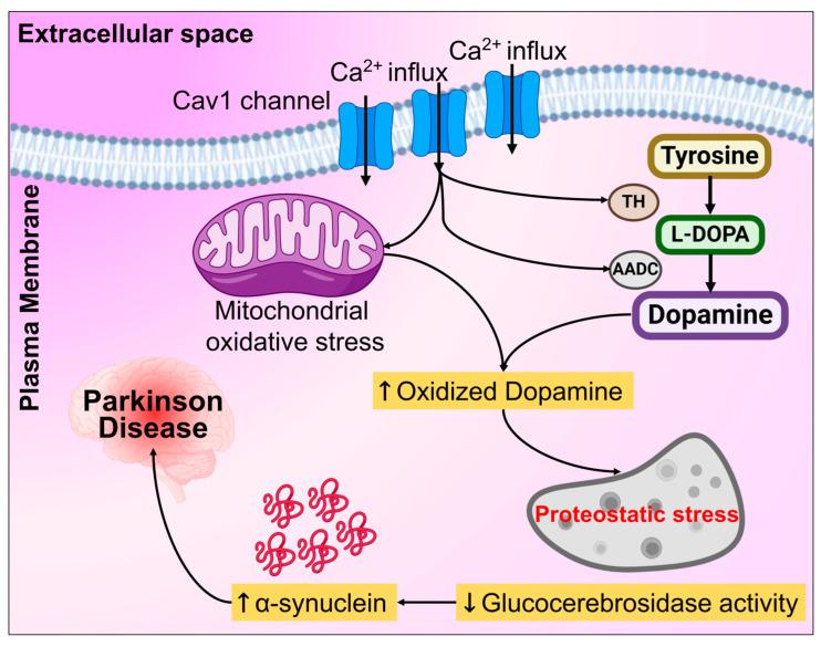 https://cdn.ncbi.nlm.nih.gov/pmc/blobs/f859/10813470/7598c0098baf/biomolecules-14-00073-g011.jpg