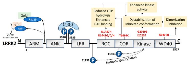 https://cdn.ncbi.nlm.nih.gov/pmc/blobs/f859/10813470/993636668789/biomolecules-14-00073-g004.jpg