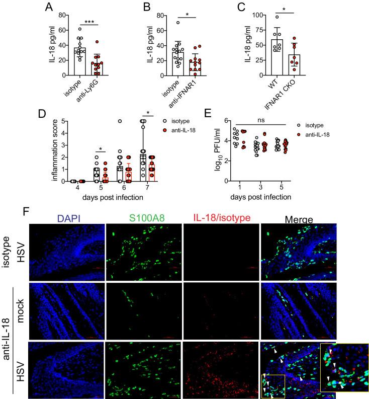 https://cdn.ncbi.nlm.nih.gov/pmc/blobs/f864/8163503/13b60f8d6eea/elife-65762-fig6.jpg