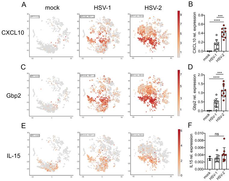 https://cdn.ncbi.nlm.nih.gov/pmc/blobs/f864/8163503/8a859e38dc09/elife-65762-fig3-figsupp2.jpg