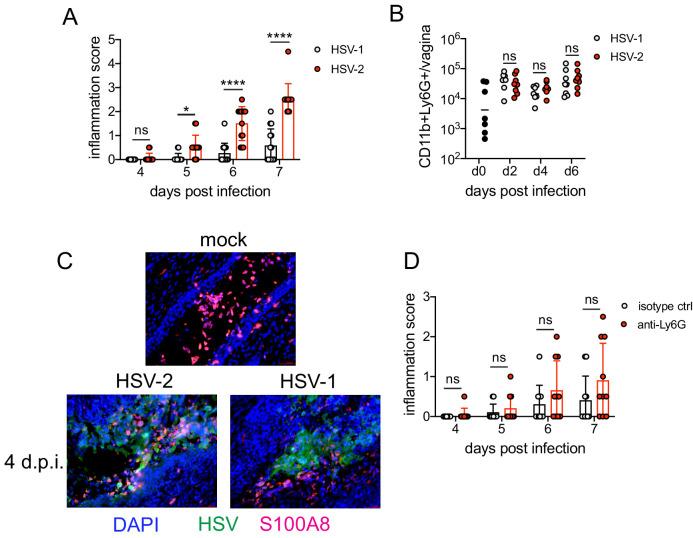 https://cdn.ncbi.nlm.nih.gov/pmc/blobs/f864/8163503/c5905f70b6d1/elife-65762-fig2.jpg
