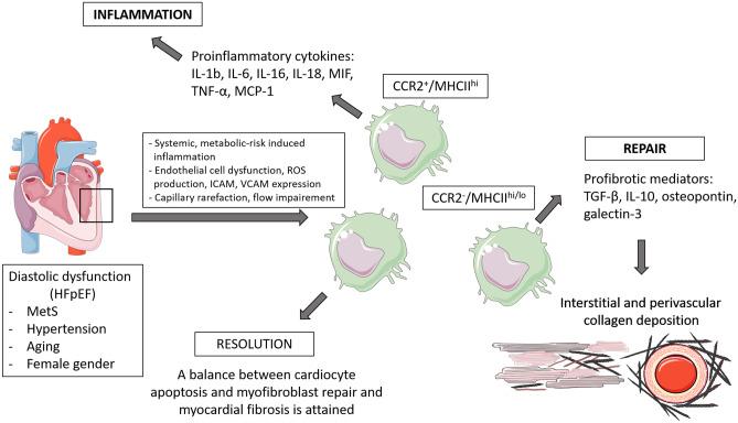 https://cdn.ncbi.nlm.nih.gov/pmc/blobs/f871/9197805/d79dcbe85ed5/10741_2021_10156_Fig1_HTML.jpg