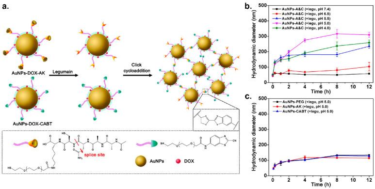 https://cdn.ncbi.nlm.nih.gov/pmc/blobs/f873/8069843/57be5801a951/nanomaterials-11-01001-g007.jpg