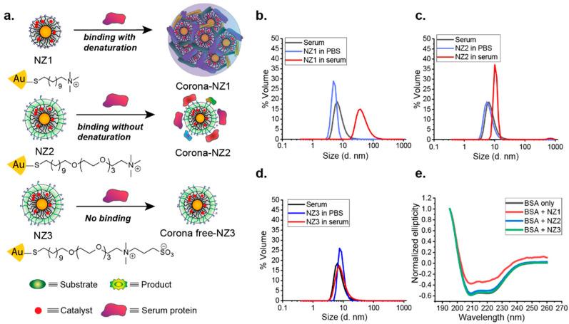 https://cdn.ncbi.nlm.nih.gov/pmc/blobs/f873/8069843/78e188725792/nanomaterials-11-01001-g003.jpg