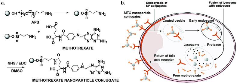 https://cdn.ncbi.nlm.nih.gov/pmc/blobs/f873/8069843/c03b9cc8e9e6/nanomaterials-11-01001-g006.jpg