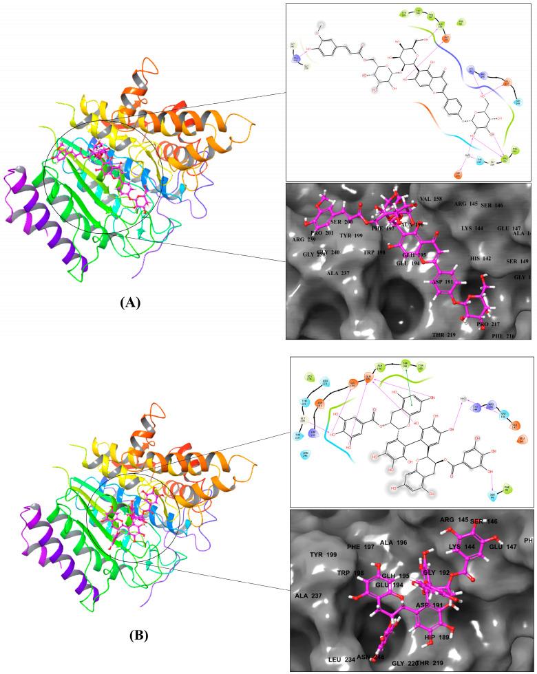 https://cdn.ncbi.nlm.nih.gov/pmc/blobs/f886/10221329/a862b01464aa/metabolites-13-00658-g002a.jpg